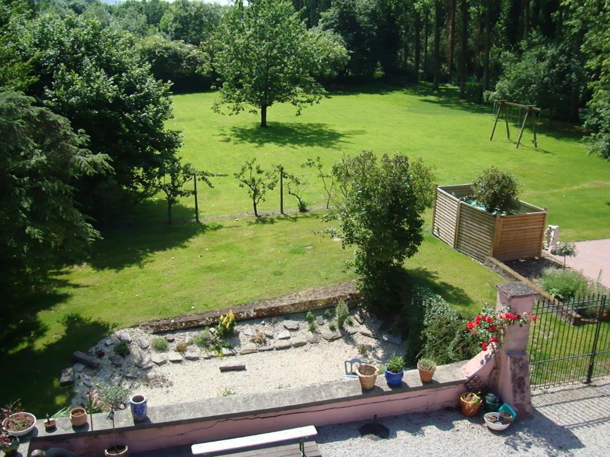 B&B Chateau Bagatelle Frasnes-lez-Anvaing Exterior photo